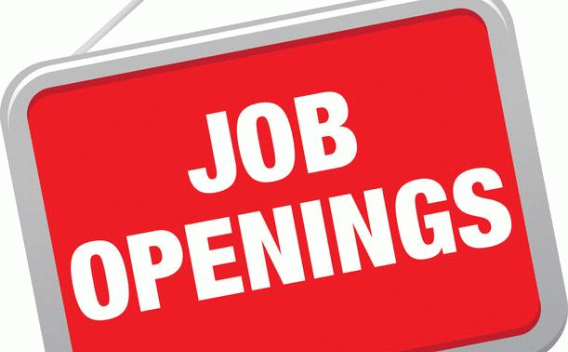 Find Job Openings